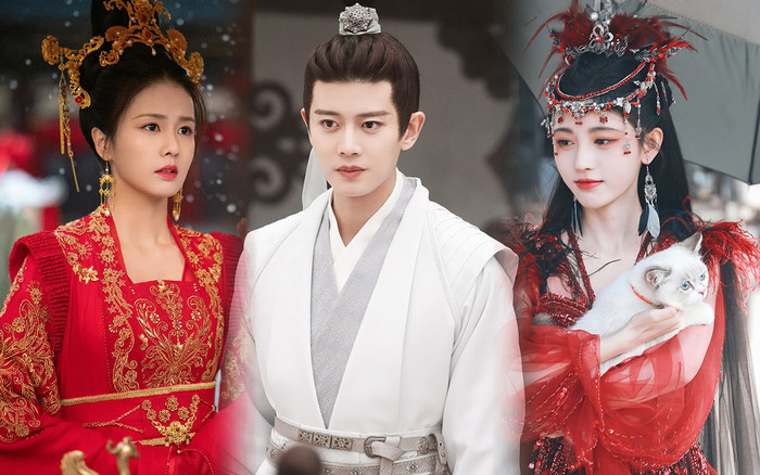 Nhậm Gia Luân hợp tác cùng Cúc Tịnh Y trong phim mới, liệu có thể thành công như hồi 'yêu' Bạch Lộc? Ảnh 2