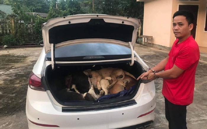 Vụ mang ô tô đi trộm 38 con chó: Nghi phạm từng là một giám đốc Công ty Ảnh 2