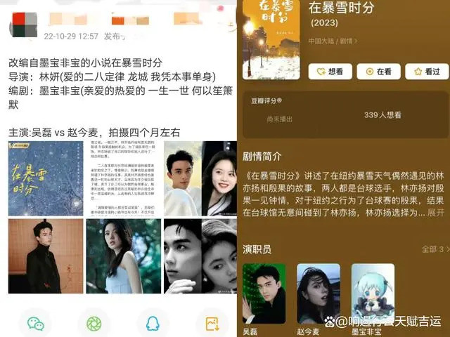 Cư dân mạng tỏ ra hào hứng khi hay tin Triệu Kim Mạch và Ngô Lỗi nên duyên trong Giữa Cơn Bão Tuyết. 