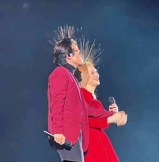 Hình ảnh mái tóc của Mỹ Tâm và Hà Anh Tuấn bị dựng đứng khiến cư dân mạng vô cùng thích thú