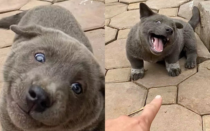 Idol Nguyễn Văn Dúi nổi đình đám đã vợ con đề huề, thần thái vẫn 'gợi đòn': Nhìn mấy đứa con mới ngã ngửa Ảnh 2