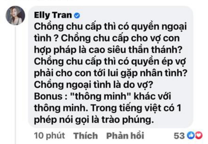 Bị anti fan mỉa mai chuyện tố chồng ngoại tình, Elly Trần đáp trả cực gắt Ảnh 2