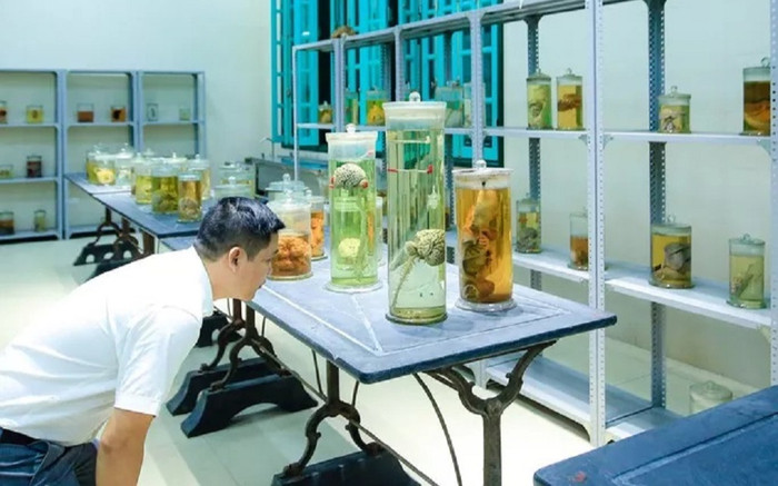 Cận cảnh phòng giải phẫu xác người của Trường Đại học Y Hà Nội Ảnh 2