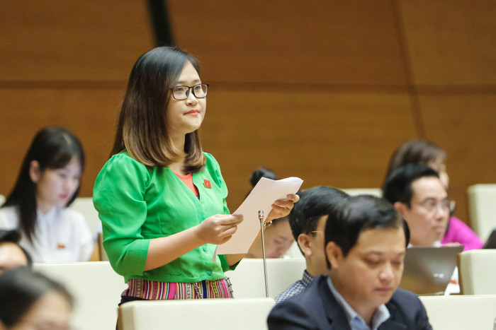 Cô giáo Hà Ánh Phượng phát biểu trước Quốc hội.