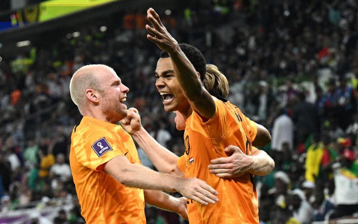 Hà Lan hạ Senegal nhờ sự toả sáng của De Jong Ảnh 2