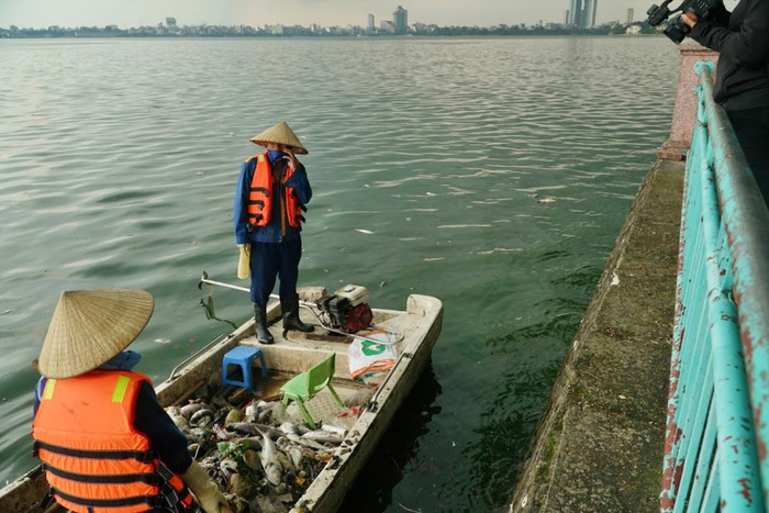 Nhiều công nhân đi vớt xác cá, thu gom ở Hồ Tây hồi đầu tháng 10/2022 để xử lý.