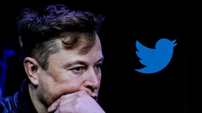 Elon Musk tuyển dụng lại sau khi sa thải hơn 50% nhân sự Twitter Ảnh 1