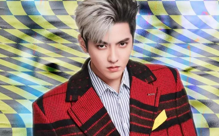 Vừa lĩnh án 13 năm tù giam, Ngô Diệc Phàm tiếp tục bị phạt hàng triệu USD Ảnh 2