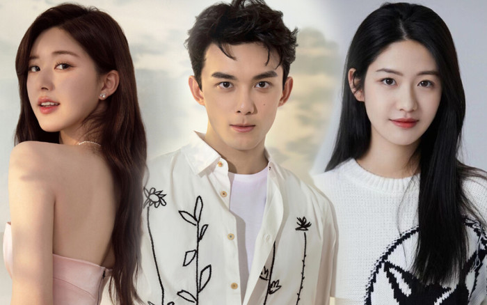 Bị dồn đến đường cùng, Hướng Hàm Chi chính thức thông báo nhường Ngô Lỗi cho Triệu Lộ Tư? Ảnh 2