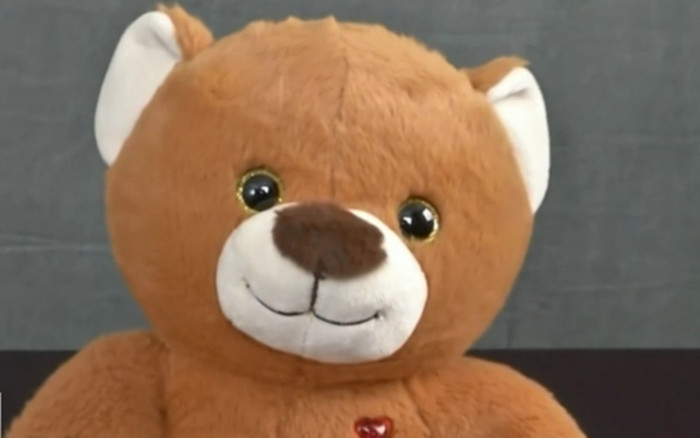 Thanh niên dùng gấu bông dễ thương treo trên tường, tất cả sốc nặng khi công an tìm ra thứ này bên trong Ảnh 2