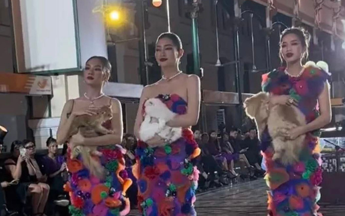 Đỗ Thị Hà bất ngờ gặp sự cố ngay trên sàn diễn khiến nàng Hậu bối rối Ảnh 2