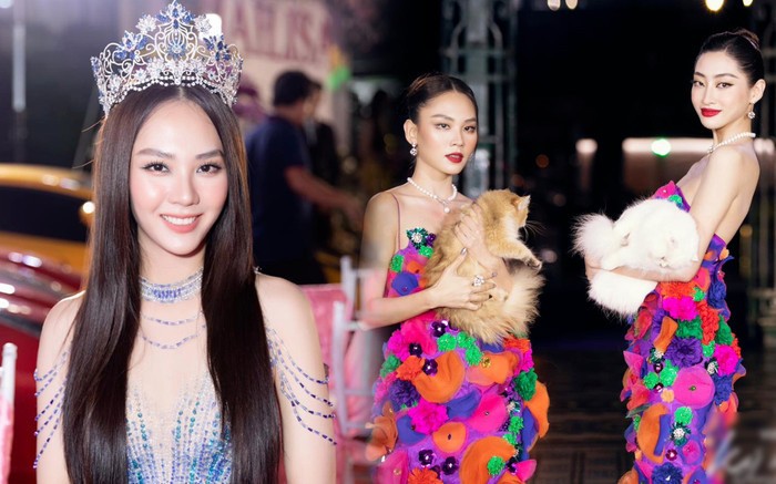 Bị nghi khai gian chiều cao, Mai Phương lên tiếng đáp trả: 'Tôi cao 1m70, đừng tranh cãi nữa' Ảnh 2