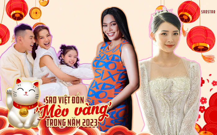 Những sao Việt đón 'mèo vàng' trong năm 2023 Ảnh 2