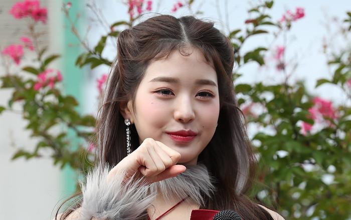 Netizen bất ngờ phát hiện điểm tương đồng giữa Cúc Tịnh Y và mĩ nhân Hàn Quốc này Ảnh 2