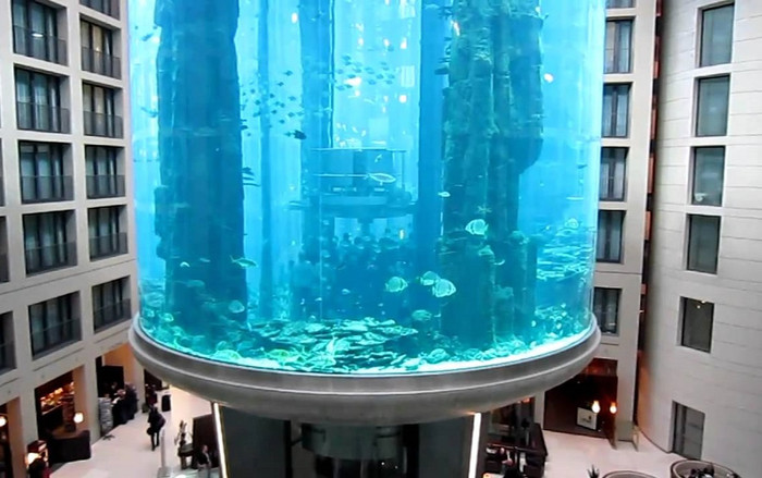 Vỡ thủy cung đứng cao nhất thế giới, 1 triệu lít nước đổ tràn ra đường phố Ảnh 2