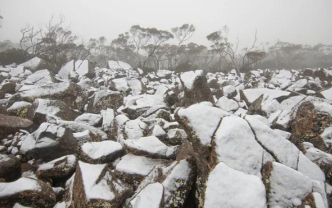 Mùa hè phủ trắng tuyết ở Australia Ảnh 2
