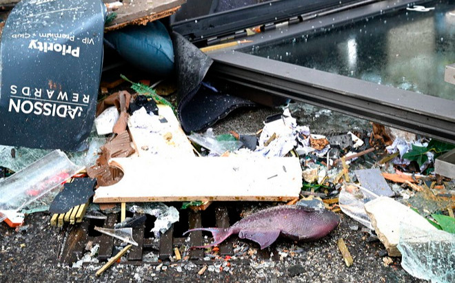 Số phận của 1.500 con cá trong vụ vỡ thủy cung lớn nhất thế giới? Ảnh 2