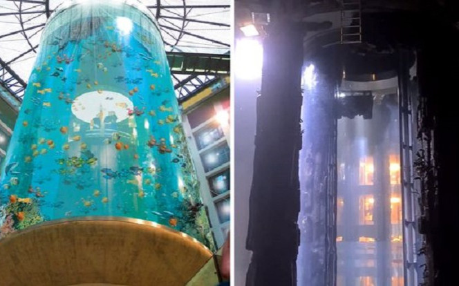 Những tiết lộ bất ngờ về vụ nổ thủy cung hình trụ lớn nhất thế giới Ảnh 2