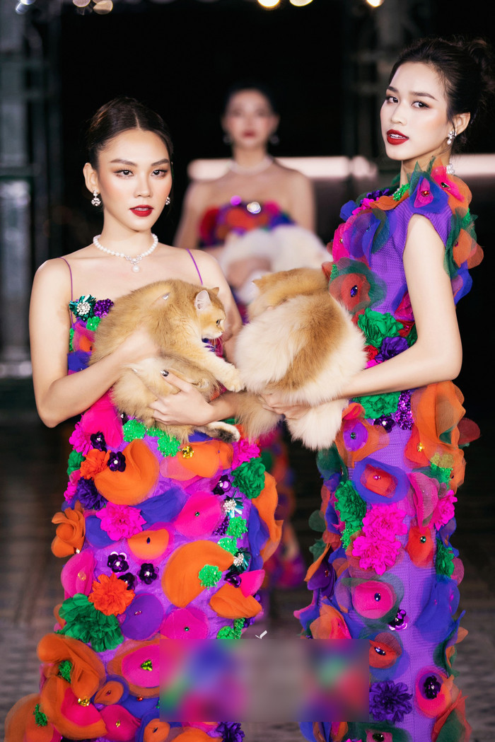 Và cô trông cao hơn Hoa hậu Mai Phương cả 10cm.