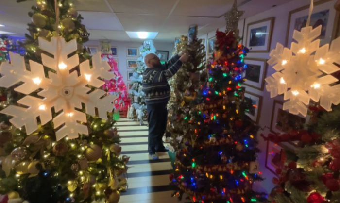 Cặp vợ chồng trang hoàng 133 cây thông Noel khắp nhà, đón Giáng sinh Ảnh 1