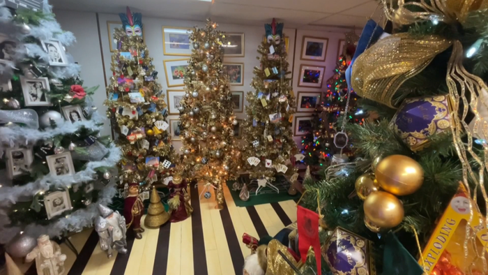 Cặp vợ chồng trang hoàng 133 cây thông Noel khắp nhà, đón Giáng sinh Ảnh 3