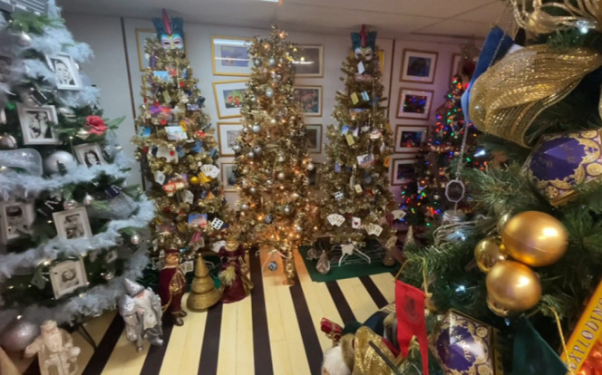 Cặp vợ chồng trang hoàng 133 cây thông Noel khắp nhà đón Giáng sinh Ảnh 2