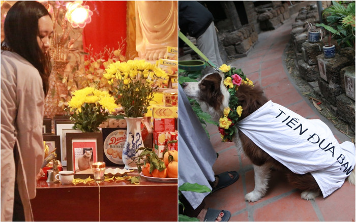 Clip trọn bộ một buổi cầu siêu, hỏa táng tiễn đưa chó mèo về nơi yên nghỉ: Có cả chú chó đi tiễn biệt bạn Ảnh 2