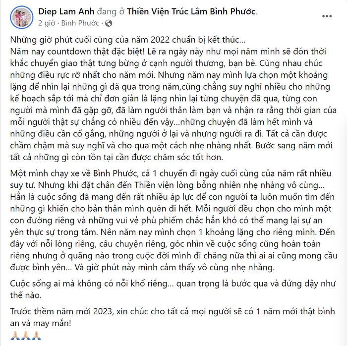 Sao Việt tổng kết năm cũ, chào năm mới: Người hứa tử tế, người cầu bình an Ảnh 10