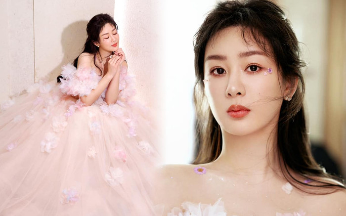 Dương Tử gặp biến cố lớn ngay ngày đầu năm mới, đến fan cũng không giúp được Ảnh 2