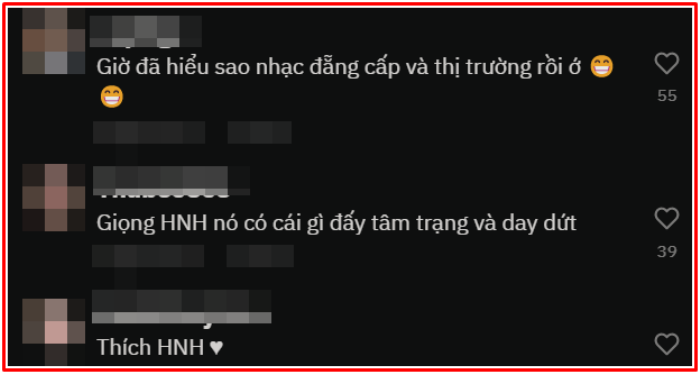 Một nam ca sĩ bị dân mạng chê bai 'te tua', nguyên nhân có liên quan đến Hồ Ngọc Hà Ảnh 2