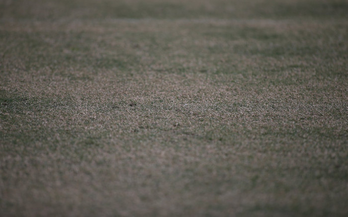 Sân Mỹ Đình bón phân 120 triệu/trận, cỏ không xanh khiến khán giả nghĩ tivi hỏng Ảnh 2