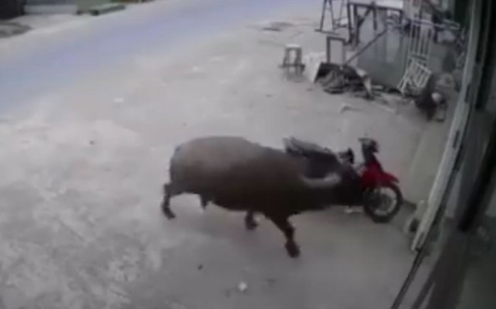 Thấy cửa kính vỡ toang nên check camera, chủ nhà buộc phải ngậm ngùi chấp nhận dù biết 'thủ phạm' Ảnh 2