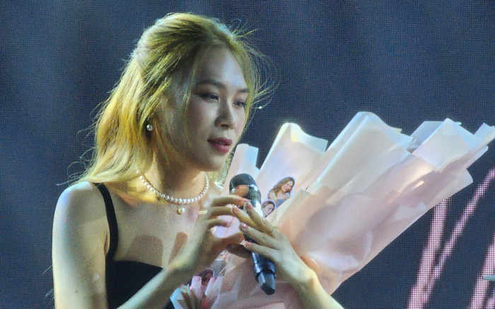 Mỹ Tâm chính thức công bố 'con đầu lòng' sau thời gian dài giấu kín với khán giả Ảnh 2