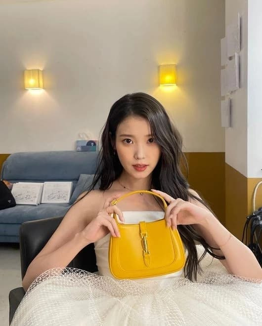 Dù không tiết lộ giá của chiếc túi nhưng nhìn vào ai cũng đoán được đây là món đồ có giá trị không hề nhỏ. 