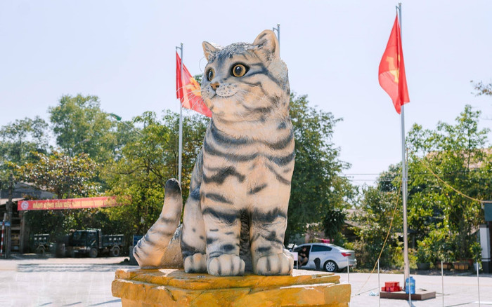 Cận cảnh linh vật mèo ở Quảng Trị gây sốt MXH khiến dân tình cảm thán: 'Hoa hậu mèo' đây rồi! Ảnh 2