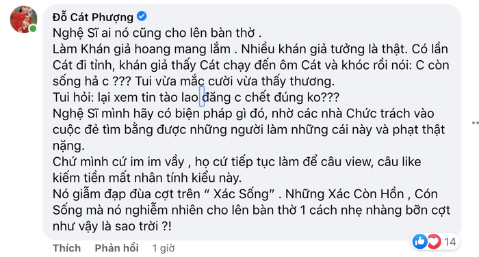 Cát Phượng từng bị lầm tưởng đã qua đời, chỉ trích anti-fan: 'Nghệ sĩ ai cũng cho lên bàn thờ' Ảnh 3