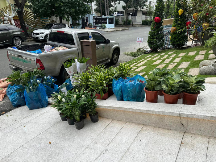 Cường Đô La 'chịu chơi' sử dụng nhiều hoa và cây cảnh để trang trí tết