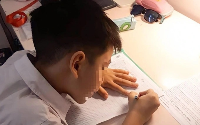 Trường học không giao bài tập Tết, phụ huynh xin cô giao bài cho con Ảnh 2