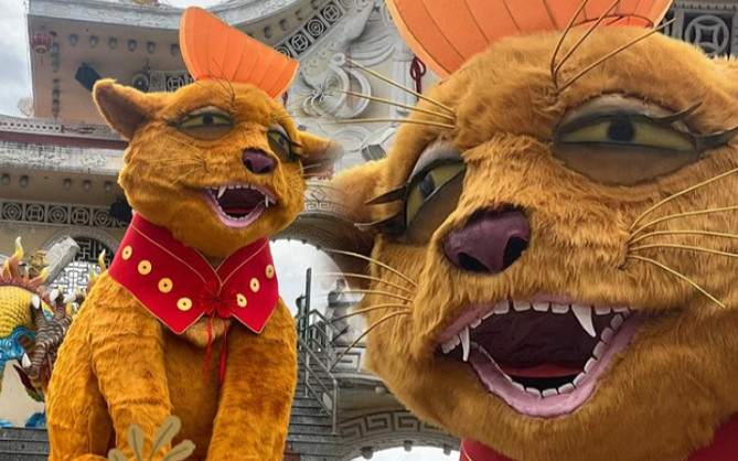 Mèo Suối Tiên 'lột xác' sau khi bị chê diện mạo mắt lờ đờ, thâm sì trước đó Ảnh 2