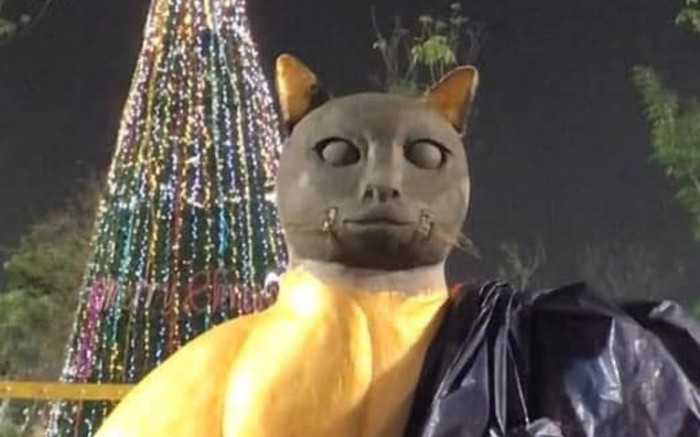 Sốc nặng trước nhan sắc mèo Vĩnh Phúc: Mới 'loading 99%' nhưng dân mạng đã thấy bất ổn Ảnh 2