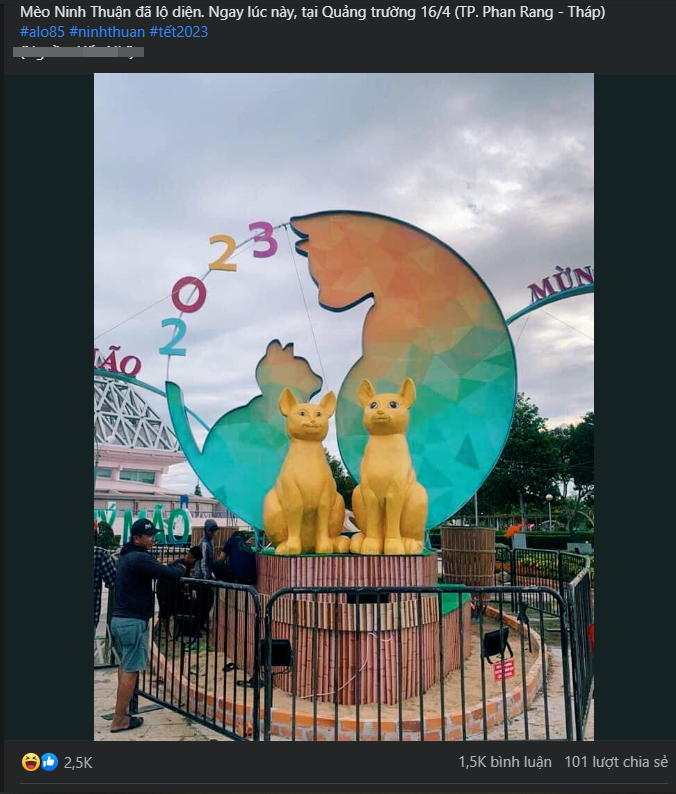 Mèo Ninh Thuận 'Auth' lộ diện hôm 16/1 tại Quảng trường 16/4 (TP. Phan Rang - Tháp)