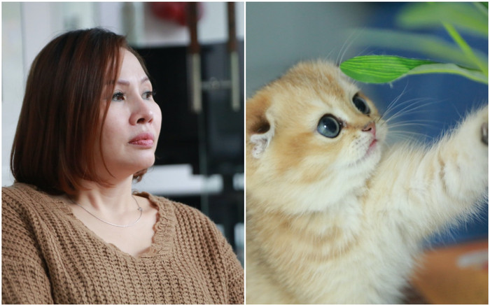 Người phụ nữ xuyên Tết Quý Mão trực chăm sóc nơi thờ tựu và resort mèo: 'Đến với nghề là cái duyên' Ảnh 2