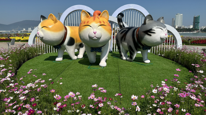 Những chú mèo béo ú cười híp mắt ở đường hoa Tết Đà Nẵng năm 2023 - Ảnh: MOON BLACK