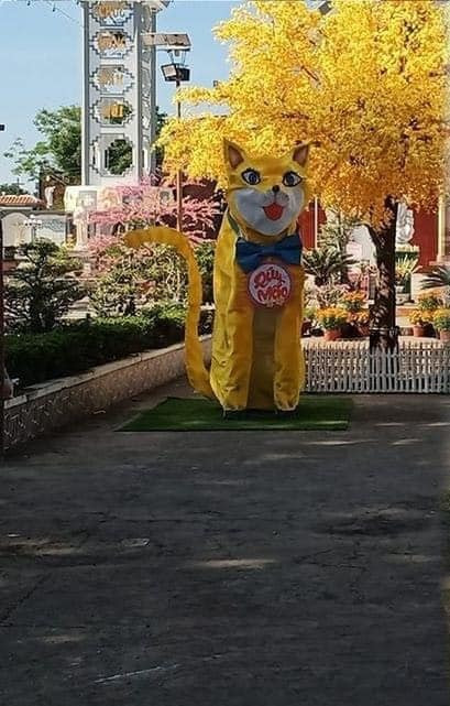 Đường đua linh vật 2023 tiếp tục gọi tên An Giang với hình ảnh 'mèo ủ muối hút chân không' Ảnh 3