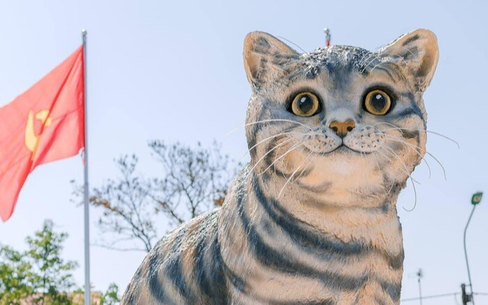 Chuyện ít người biết về chủ nhân đứng đằng sau tạo hình 'Hoa hậu mèo' gây sốt ở Quảng Trị Ảnh 2