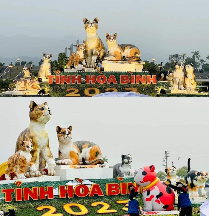 Mèo Hòa Bình