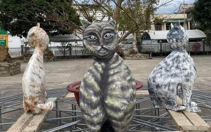 Linh vật mèo Đồng Nai trình làng: Người khẳng định giống cú mèo, người khóc thét gọi zombie Ảnh 2