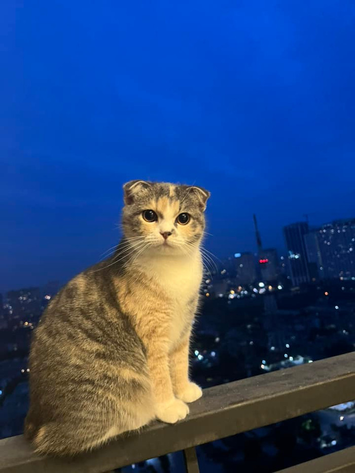 Ảnh: Hoài Phương Nguyễn