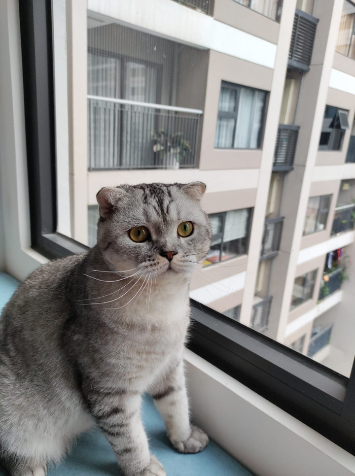 Ảnh: Thương Thương