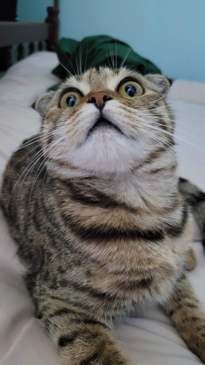 Ảnh: Huỳnh Thiên Trang